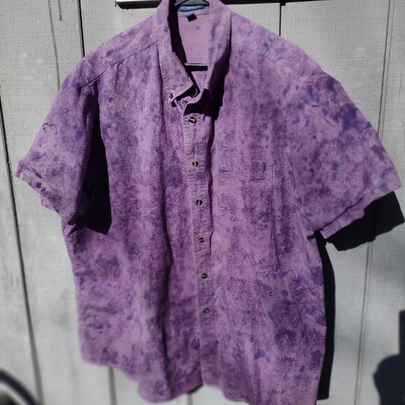 Meet your Posher, Dennis - Picture 3 of 13